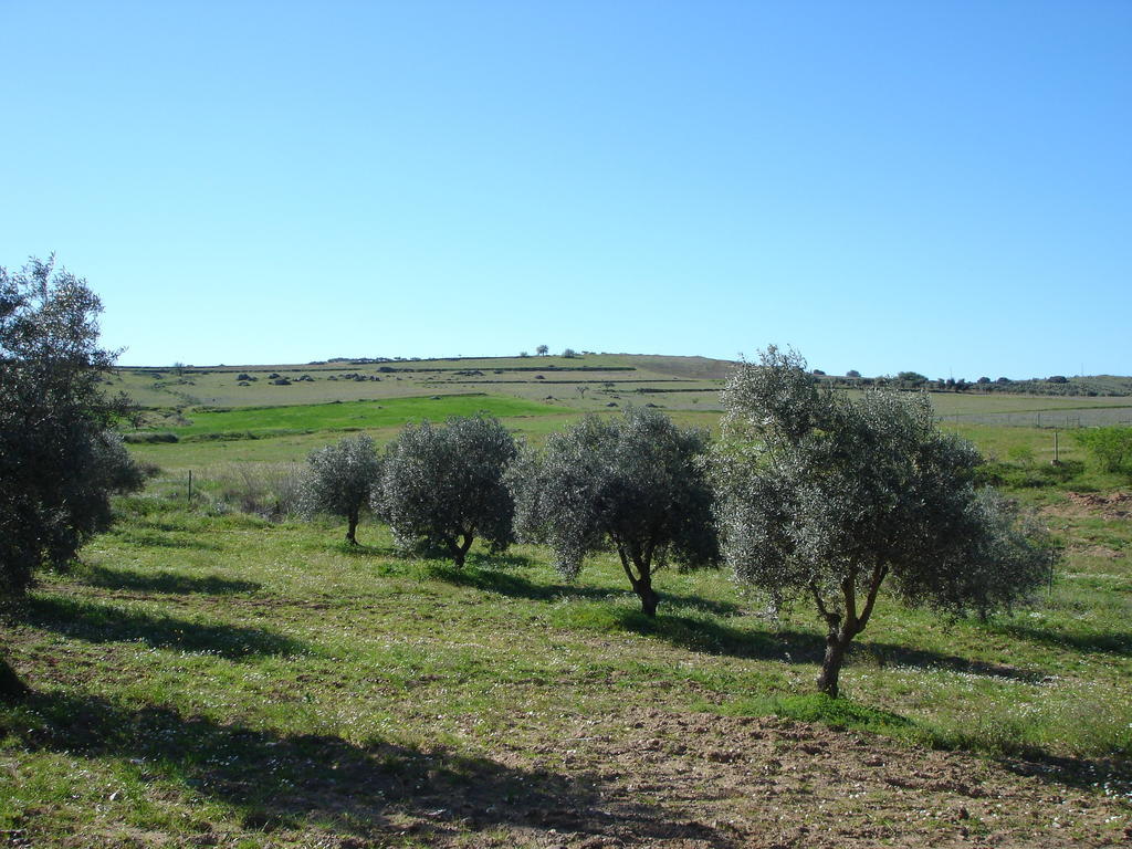 Horta Do Muro Campo Maior Exterior foto